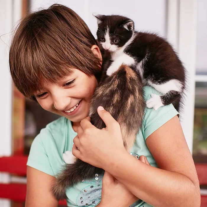 Sanctuarul pentru pisici, proiect Humanimals